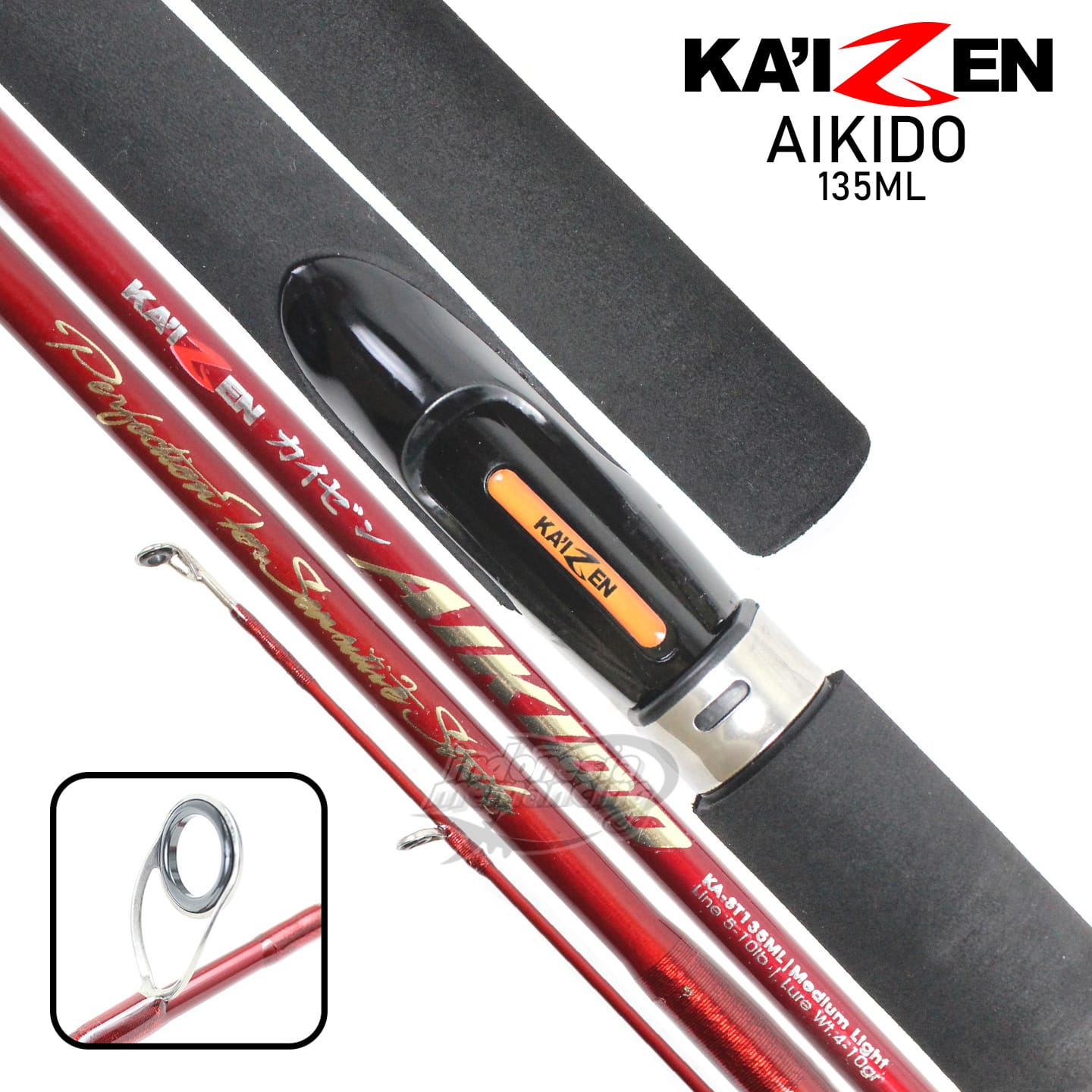 Joran Kaizen Aikido