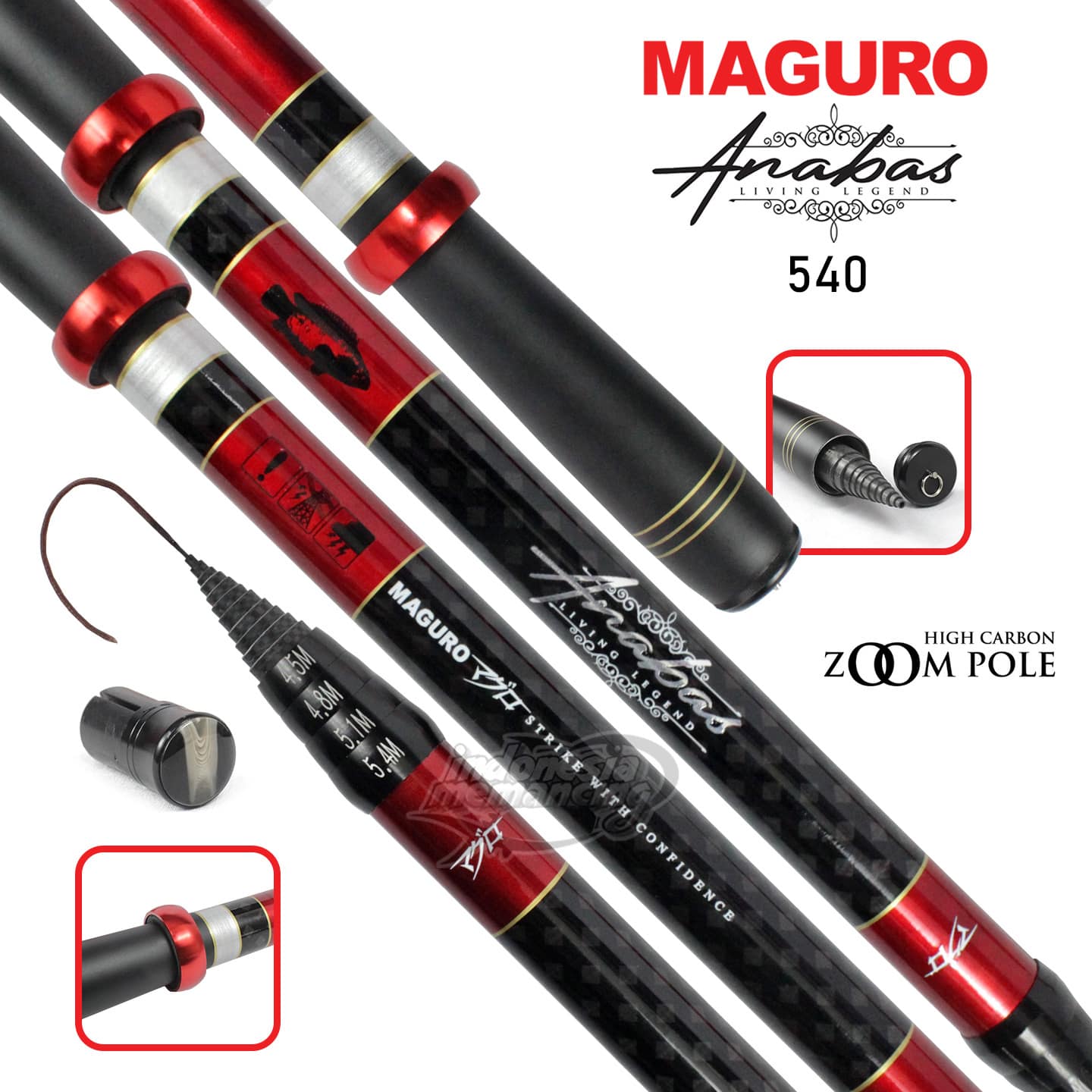 Joran Maguro Anabas - Gambar 2