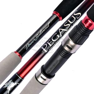 Pegasus MPSJ176M-2 PE2_5
