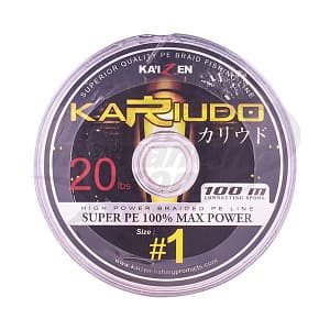 Kaizen Kariudo 100M 20 lb_1